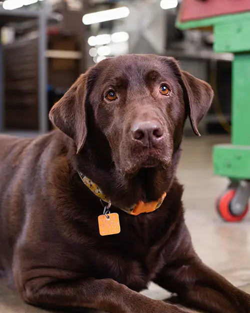 Kona Jo